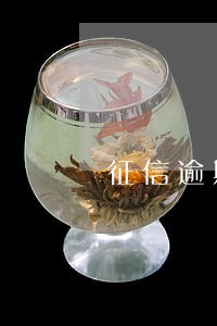 征信逾期记录超6次能否贷款 征信逾期记录超6次能否贷款