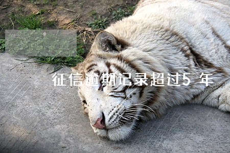 征信逾期记录超过5年