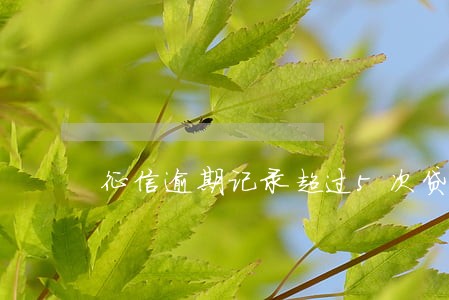 征信逾期记录超过5次贷款吗