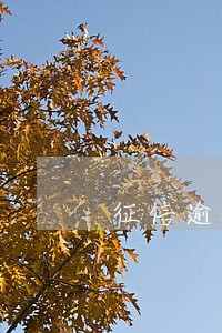 征信逾期记录还完2年了 征信逾期记录还完2年了