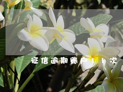 征信逾期账户11次 征信逾期账户11次