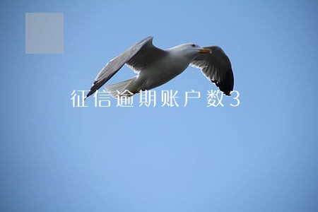 征信逾期账户数3 征信逾期账户数3