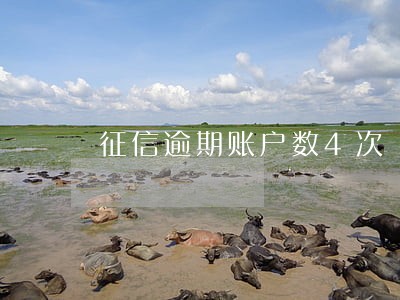征信逾期账户数4次 征信逾期账户数4次