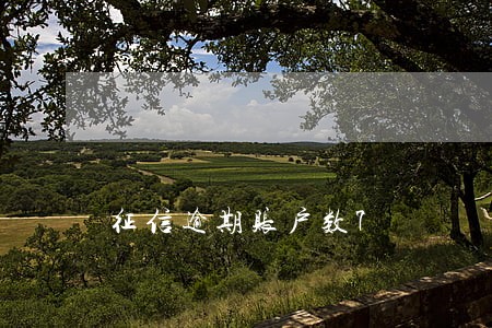 征信逾期账户数7 征信逾期账户数7