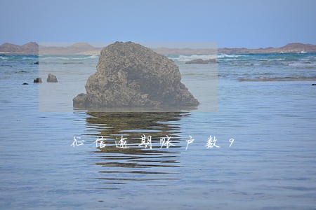 征信逾期账户数9 征信逾期账户数9