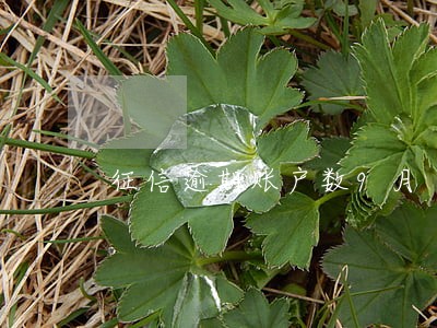 征信逾期账户数9月 征信逾期账户数9月