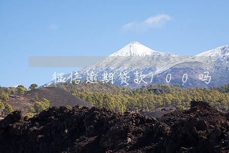 征信逾期贷款100吗 征信逾期贷款100吗