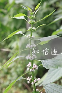 征信逾期贷款公积金 征信逾期贷款公积金