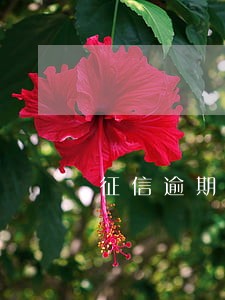 征信逾期贷款利息 征信逾期贷款利息
