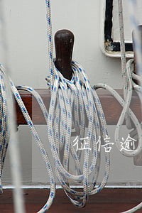 征信逾期贷款可以下马 征信逾期贷款可以下马