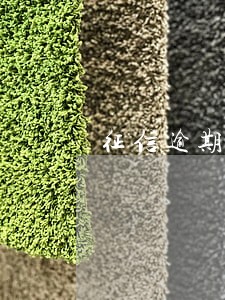 征信逾期贷款天津