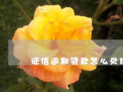 征信逾期贷款怎么处理 征信逾期贷款怎么处理
