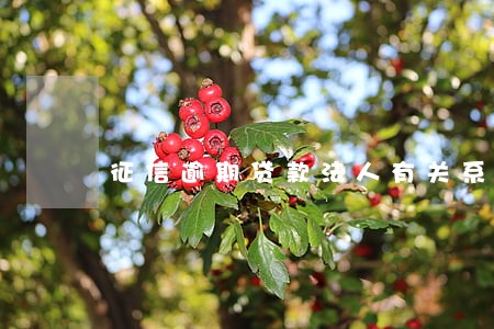 征信逾期贷款法人有关系吗 征信逾期贷款法人有关系吗