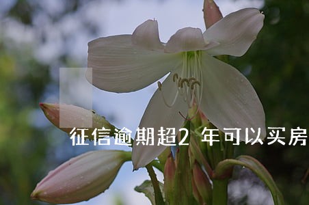 征信逾期超2年可以买房吗 征信逾期超2年可以买房吗