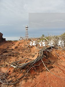 征信逾期超过5次能贷款吗 征信逾期超过5次能贷款吗