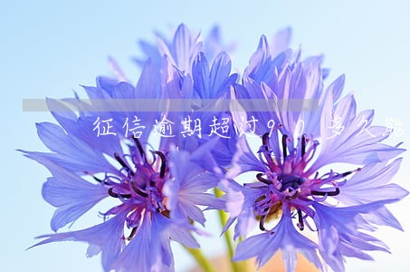 征信逾期超过90多久能消除 征信逾期超过90多久能消除