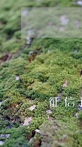 征信逾期超过90天可以车贷吗 征信逾期超过90天可以车贷吗