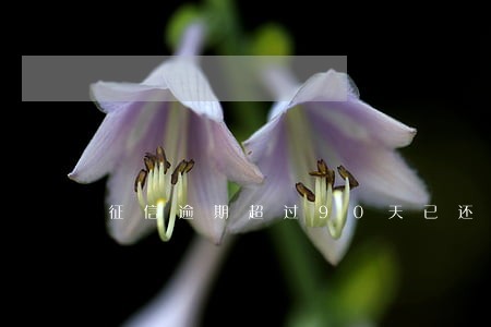 征信逾期超过90天已还清3年了 征信逾期超过90天已还清3年了