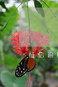 征信逾期超过90天有什么影响 征信逾期超过90天有什么影响