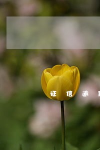 征信逾期超过90天算黑户逾期 征信逾期超过90天算黑户逾期