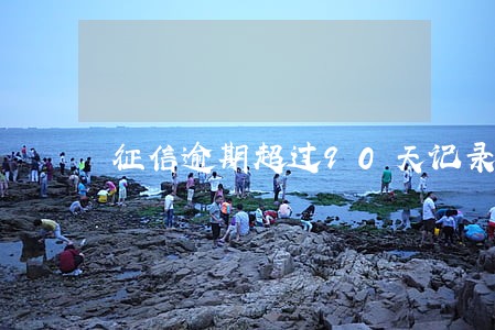 征信逾期超过90天记录 征信逾期超过90天记录