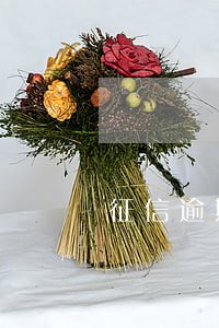 征信逾期过信用卡 征信逾期过信用卡