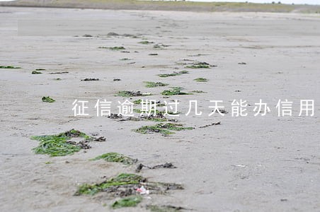 征信逾期过几天能办信用卡吗