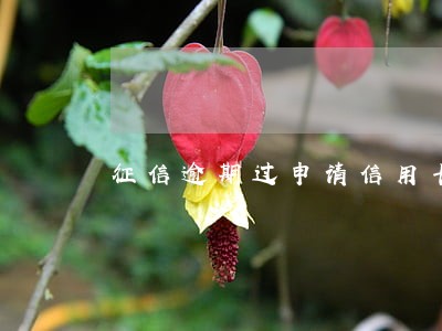 征信逾期过申请信用卡吗 征信逾期过申请信用卡吗