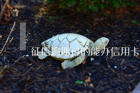 征信逾期过的能办信用卡吗 征信逾期过的能办信用卡吗