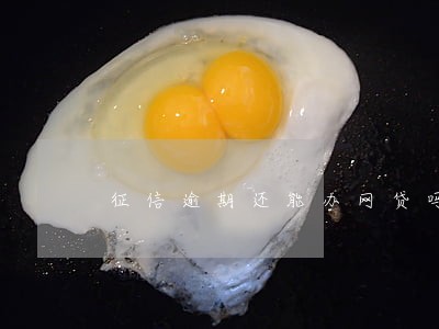 征信逾期还能办网贷吗 征信逾期还能办网贷吗