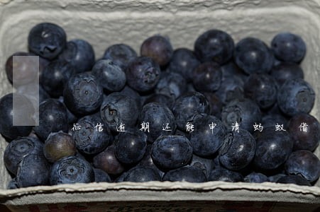 征信逾期还能申请蚂蚁借呗吗 征信逾期还能申请蚂蚁借呗吗
