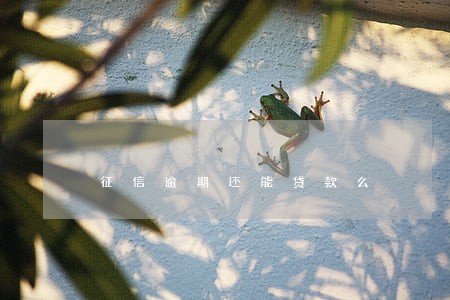征信逾期还能贷款么 征信逾期还能贷款么