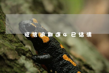 征信逾期连4已结清 征信逾期连4已结清