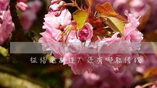 征信逾期连7还有哪能借钱 征信逾期连7还有哪能借钱