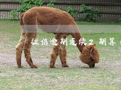 征信逾期连续2期算多少次 征信逾期连续2期算多少次