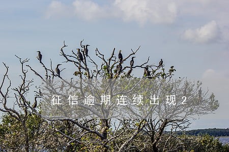 征信逾期连续出现2 征信逾期连续出现2