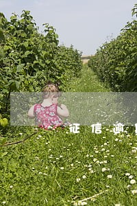 征信逾期那张信用卡注销了 征信逾期那张信用卡注销了