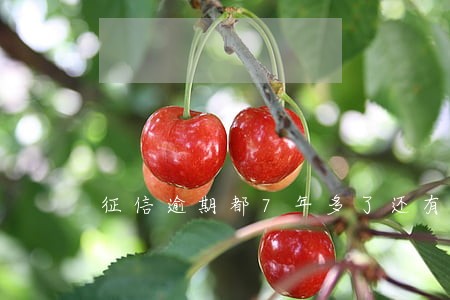 征信逾期都7年多了还有记录吗 征信逾期都7年多了还有记录吗