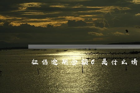 征信逾期金额0是什么情况 征信逾期金额0是什么情况