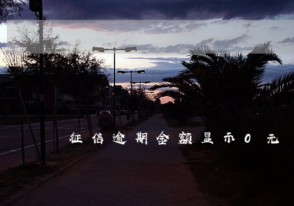 征信逾期金额显示0元 征信逾期金额显示0元