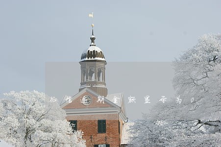 征信逾期金额显示为0 征信逾期金额显示为0