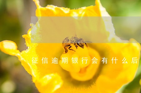 征信逾期银行会有什么后果 征信逾期银行会有什么后果