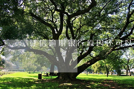 征信逾期银行原因还可以补救么 征信逾期银行原因还可以补救么