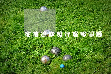 征信逾期银行客服问题 征信逾期银行客服问题