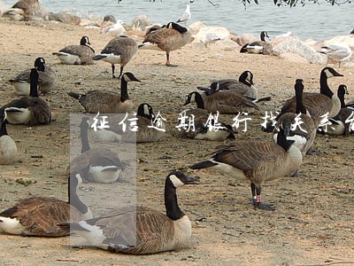征信逾期银行找关系能贷款吗 征信逾期银行找关系能贷款吗