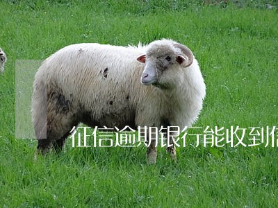 征信逾期银行能收到信息吗 征信逾期银行能收到信息吗