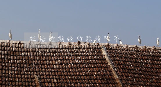 征信逾期银行能清除不 征信逾期银行能清除不