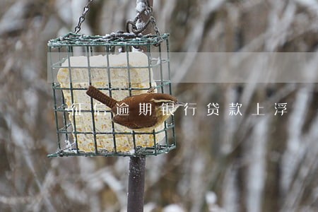 征信逾期银行贷款上浮 征信逾期银行贷款上浮