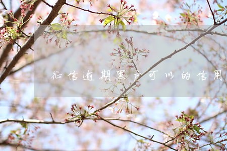 征信逾期黑户可以的信用卡 征信逾期黑户可以的信用卡