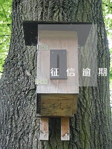 征信逾期黑户能办银行卡吗 征信逾期黑户能办银行卡吗
